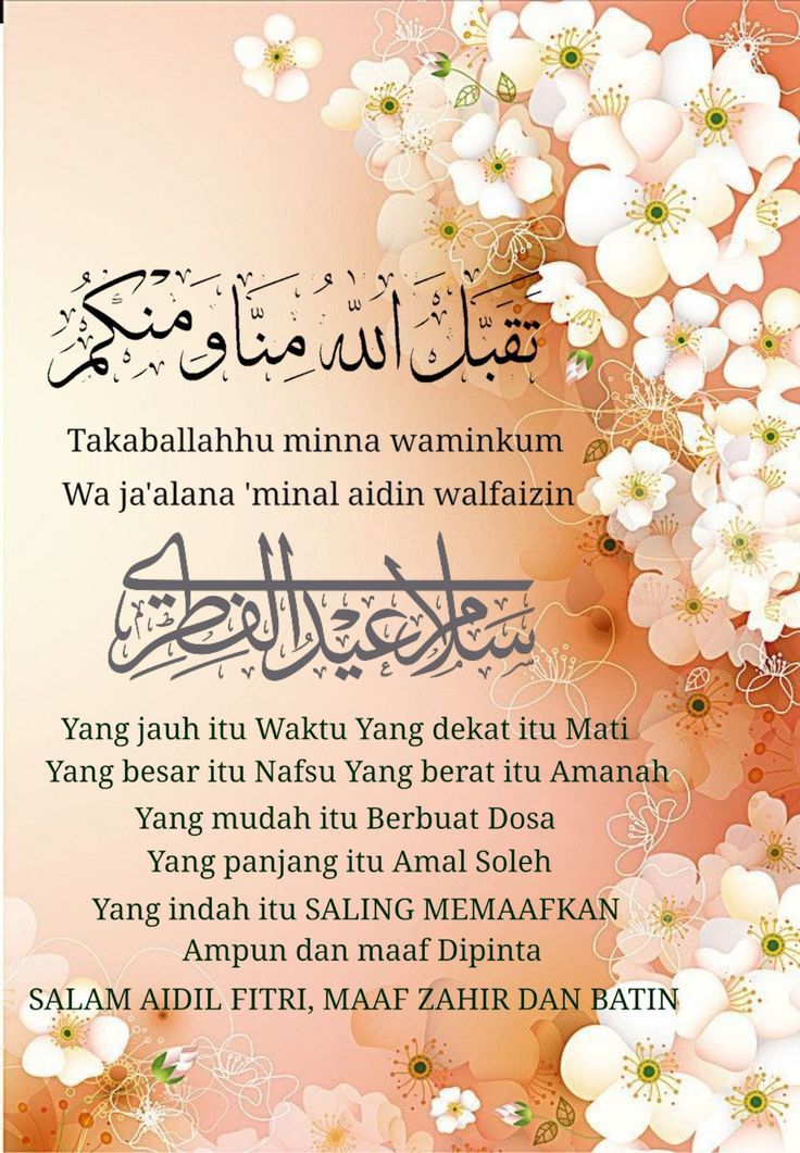 Berdetox di Aidil Fitri? Lecehlaa….